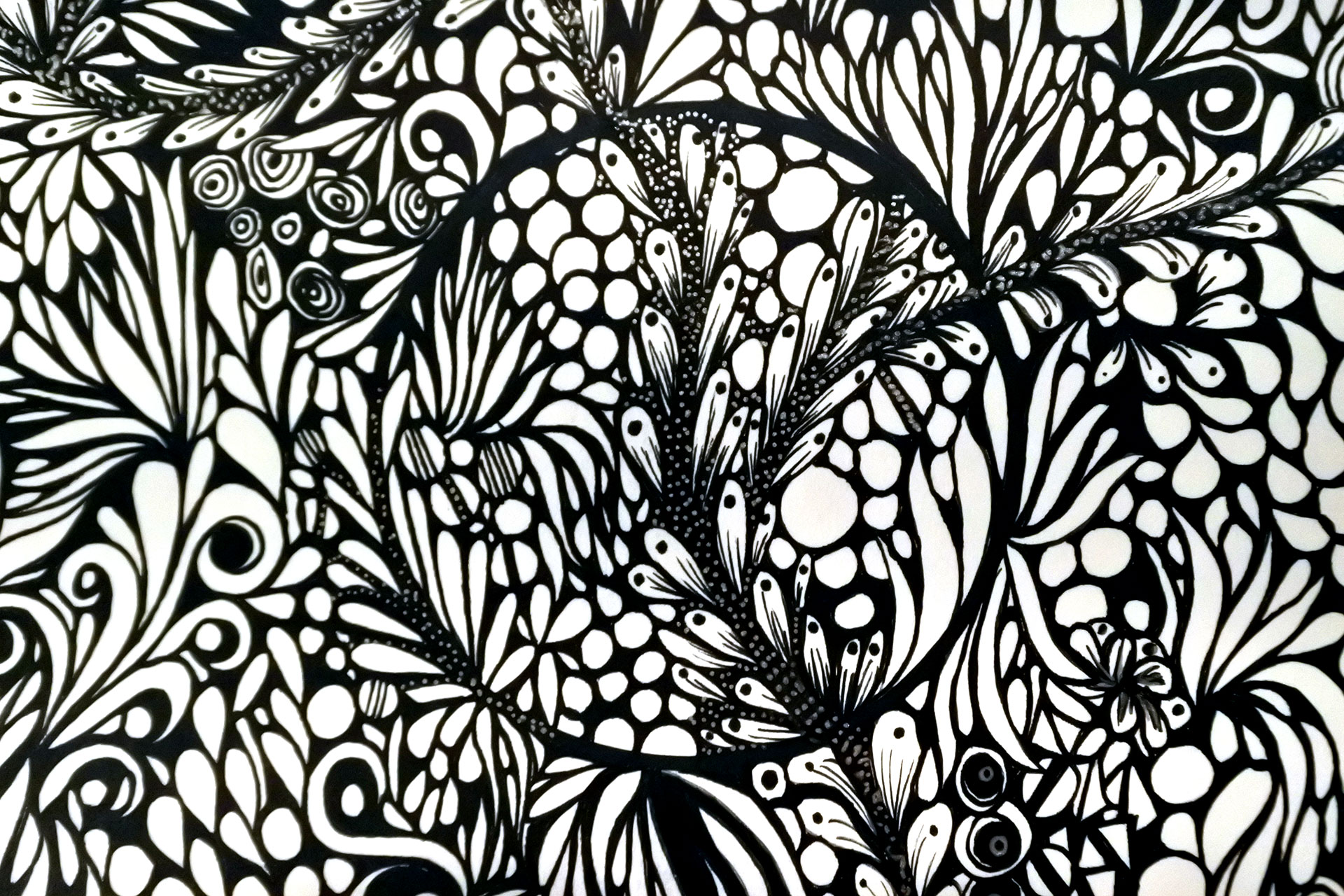 Portfolio Thumbnail Image